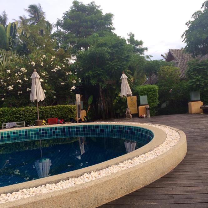 10362516_10152657316708482_2625668931260214904_n