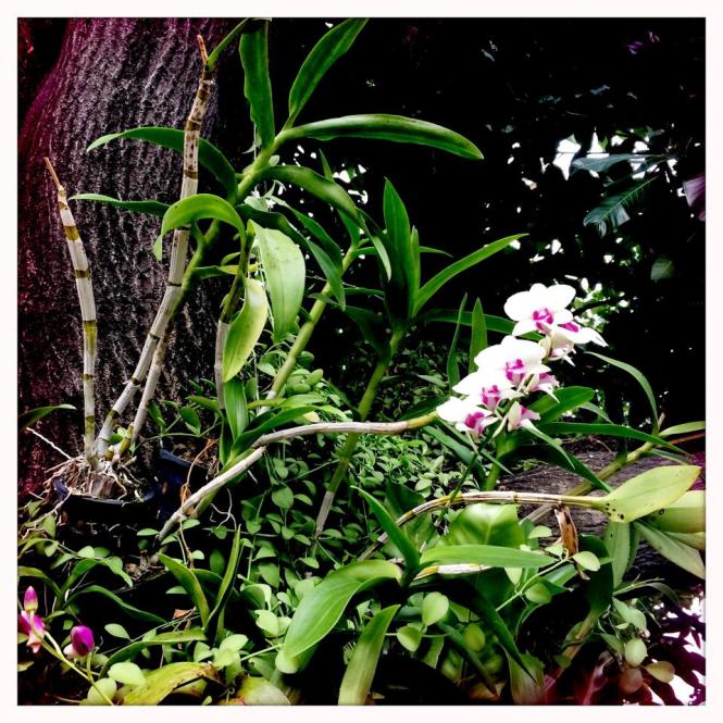 10369868_10152673891933482_1064421315807964627_n