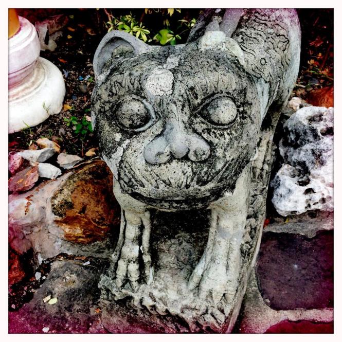 10484923_10152673893568482_1257186398658940046_n