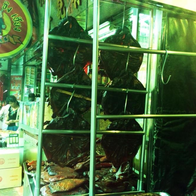 10514544_10152657063343482_9179586395948520812_n