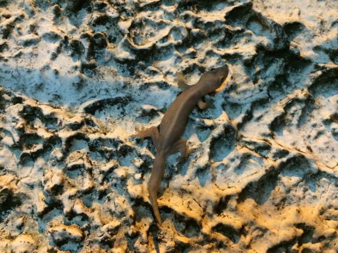 10537134_10152653512653482_5801586722746837079_n