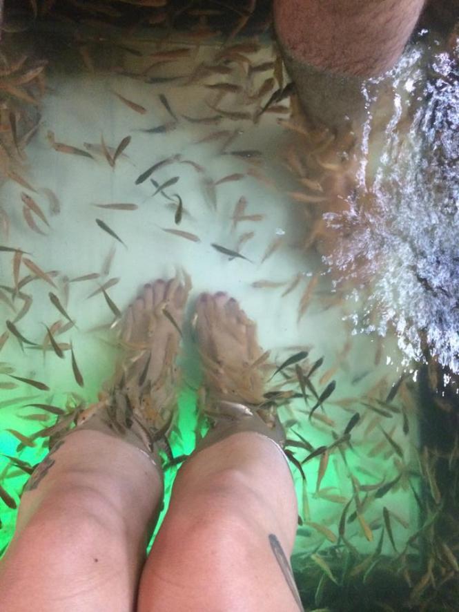 10552385_10152652034008482_2156120984703095209_n