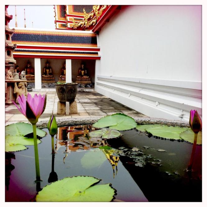 10561617_10152673892903482_6145933007181239495_n