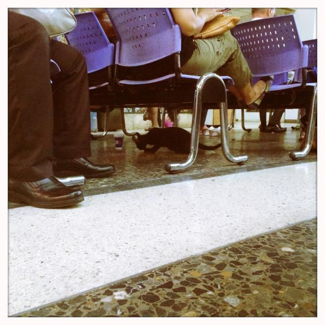 10612589_10152657310783482_3446587099555614922_n