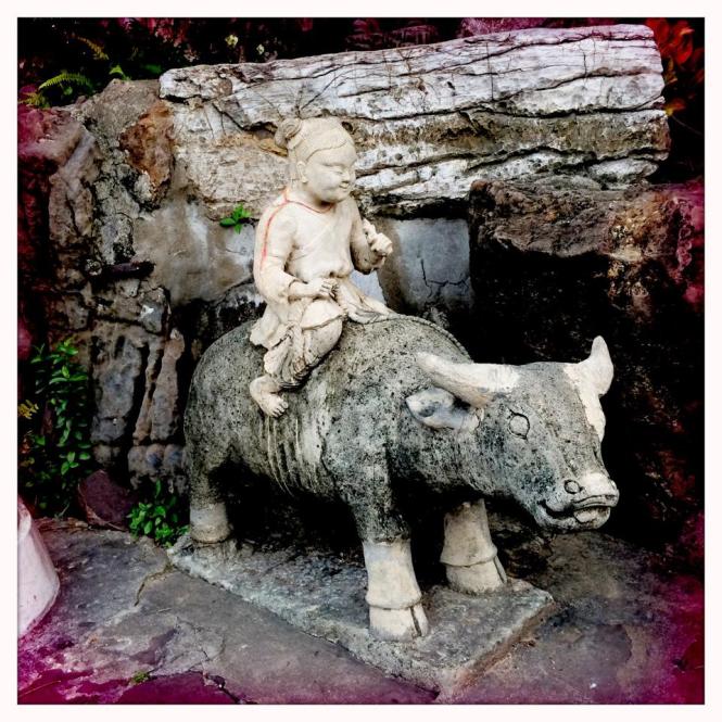 10612816_10152673892023482_2620105023542130350_n