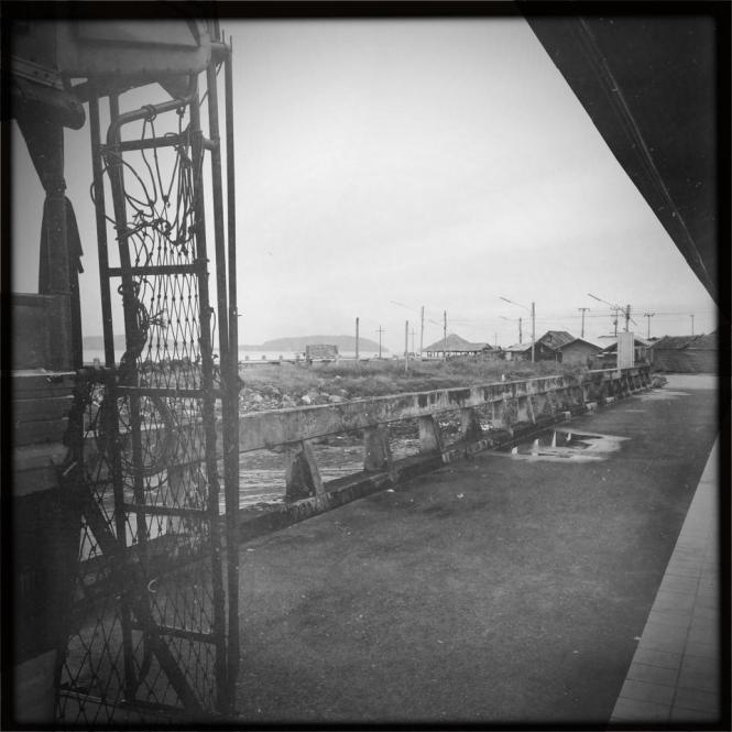 10616155_10152657315448482_946427934942460868_n