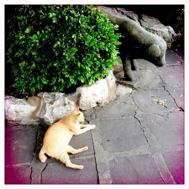 10628202_10152673892653482_1727009666072722804_n