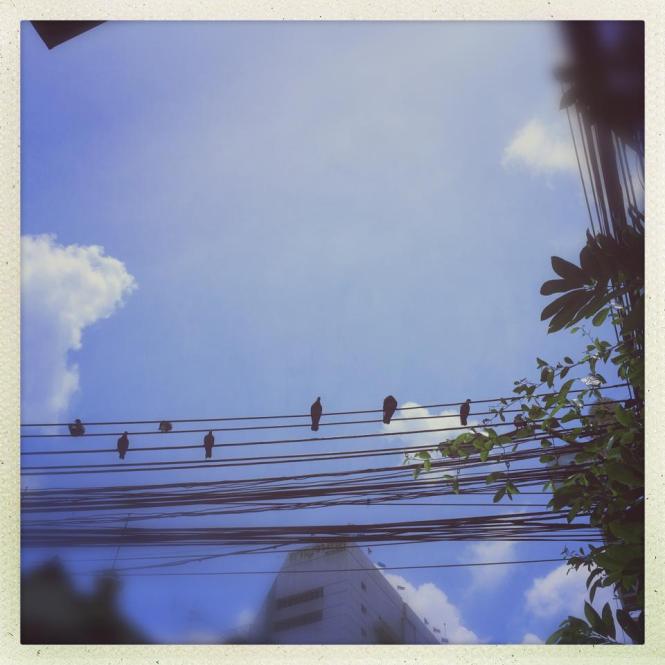 13896_10152657062653482_8151544010434823247_n