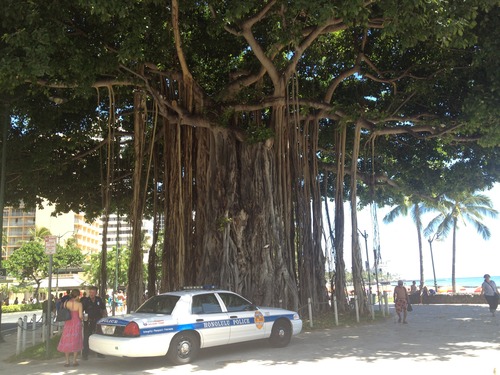 tumblr_inline_ms4u4gZ5Ro1qz4rgp