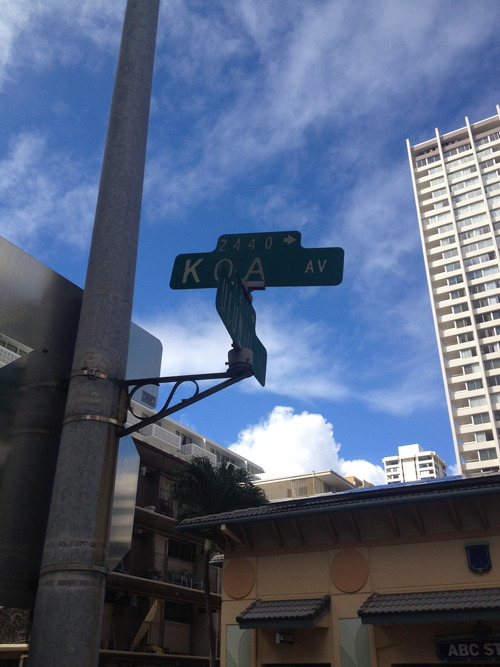 tumblr_inline_ms4u4yuSYZ1qz4rgp