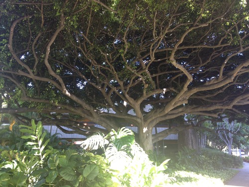 tumblr_inline_ms4u5de4Op1qz4rgp