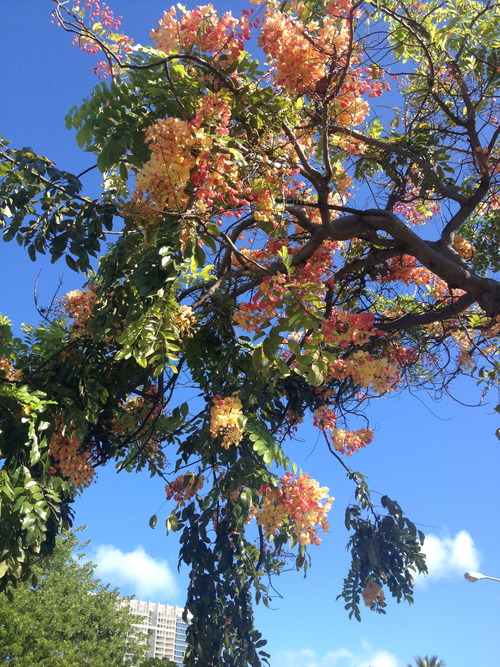 tumblr_inline_ms4u5tLwgU1qz4rgp