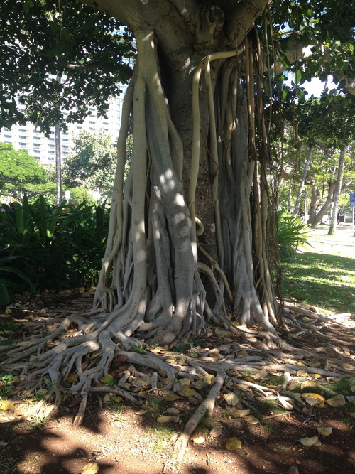 tumblr_inline_ms4u77Rqs81qz4rgp