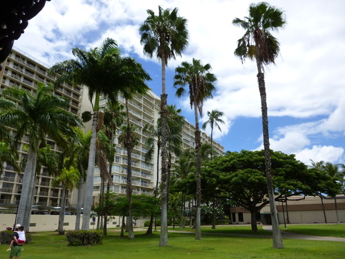 tumblr_inline_ms4ubhFeRi1qz4rgp