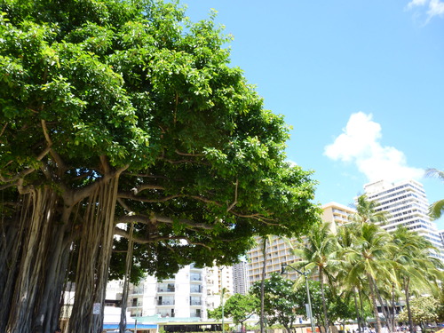 tumblr_inline_ms4udafFZy1qz4rgp