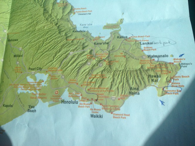 tumblr_ms52omDs8j1rhrolgo10_1280