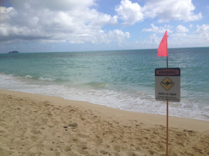 tumblr_ms52omDs8j1rhrolgo6_1280