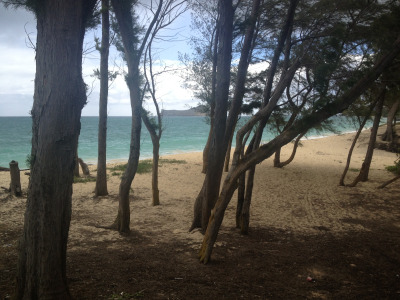 tumblr_ms52omDs8j1rhrolgo9_400