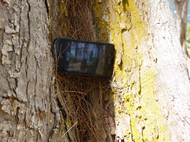 tumblr_ms52tfgepA1rhrolgo10_1280