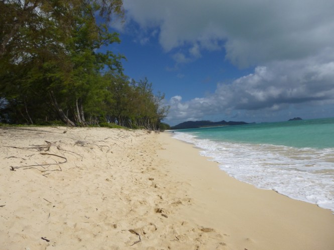 tumblr_ms52tfgepA1rhrolgo5_1280