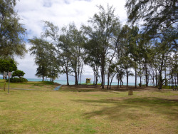 tumblr_ms52tfgepA1rhrolgo6_250