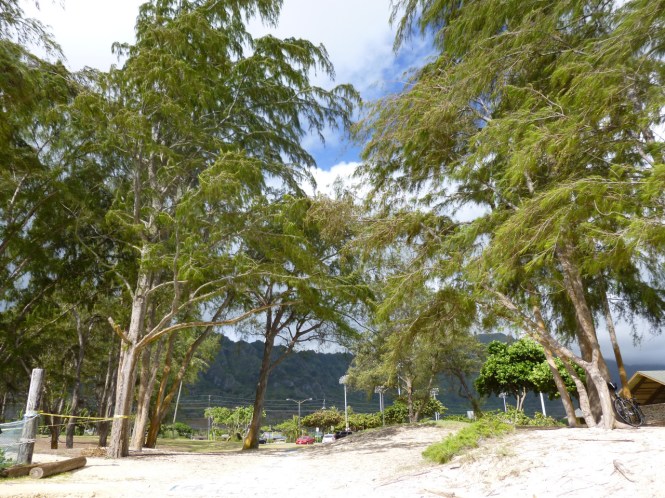 tumblr_ms52tfgepA1rhrolgo7_1280