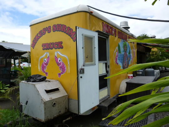 tumblr_ms530clO1H1rhrolgo9_540