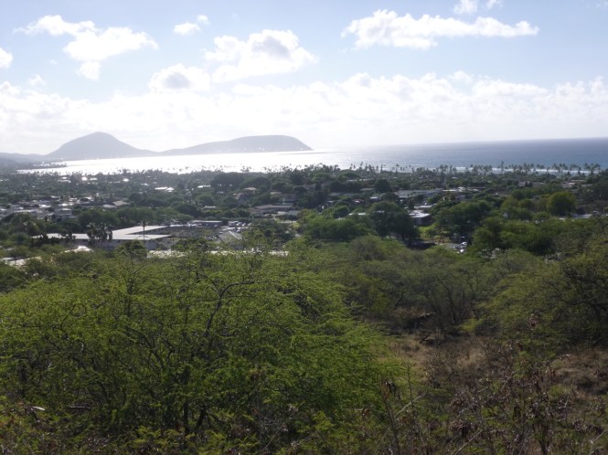 tumblr_ms537is7F11rhrolgo10_1280