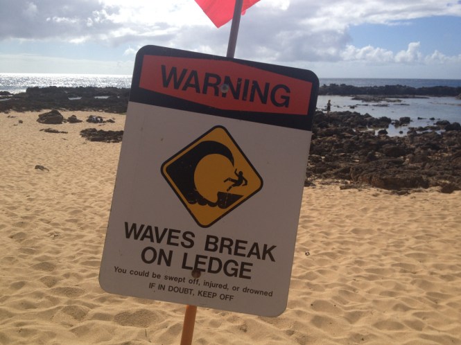 tumblr_ms537is7F11rhrolgo3_1280