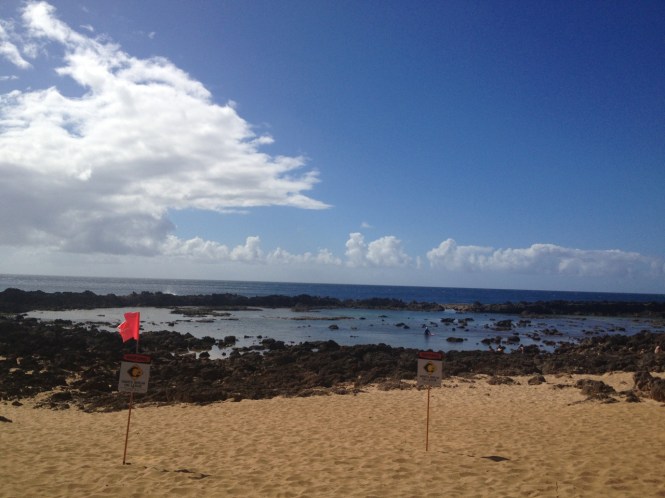 tumblr_ms537is7F11rhrolgo5_1280