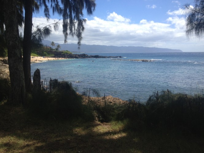 tumblr_ms537is7F11rhrolgo6_1280