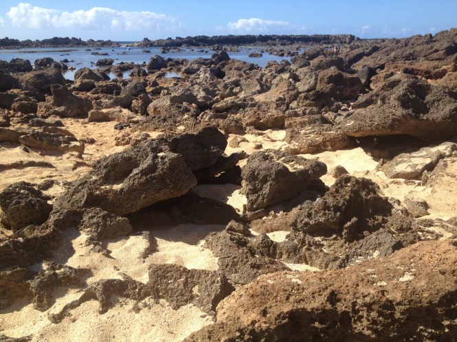 tumblr_ms537is7F11rhrolgo8_1280