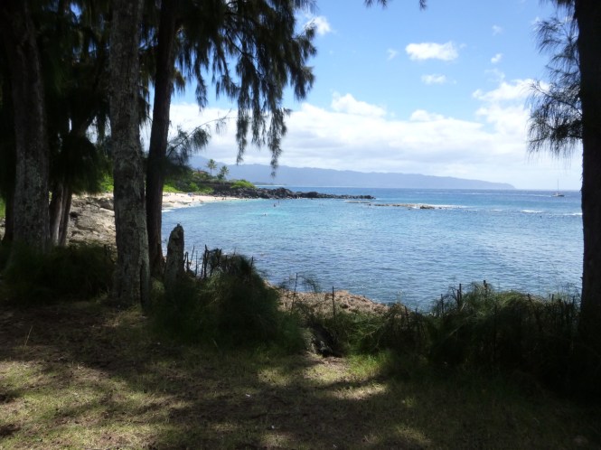 tumblr_ms53ctrrcY1rhrolgo10_1280