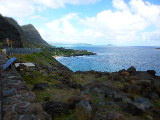 tumblr_ms53ctrrcY1rhrolgo1_540