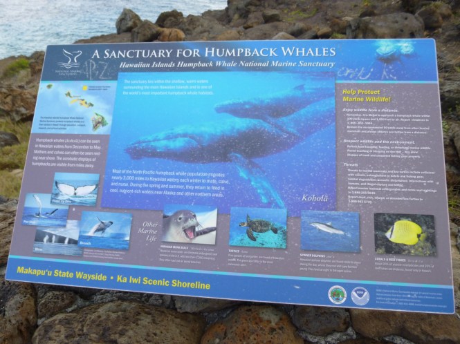 tumblr_ms53ctrrcY1rhrolgo4_1280