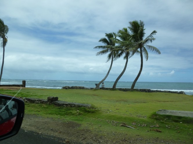 tumblr_ms53ctrrcY1rhrolgo5_1280