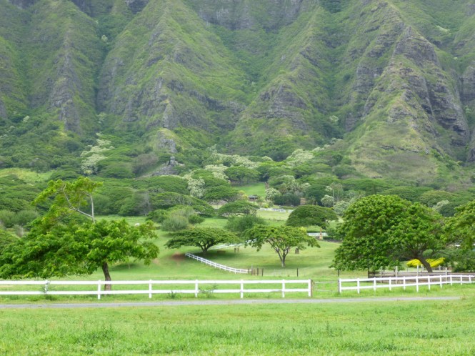 tumblr_ms53ctrrcY1rhrolgo6_1280