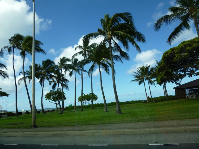 tumblr_ms53ctrrcY1rhrolgo7_1280