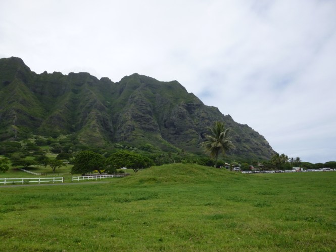 tumblr_ms53ctrrcY1rhrolgo8_1280