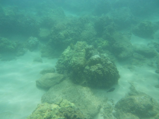 tumblr_ms53jwgM1c1rhrolgo1_1280