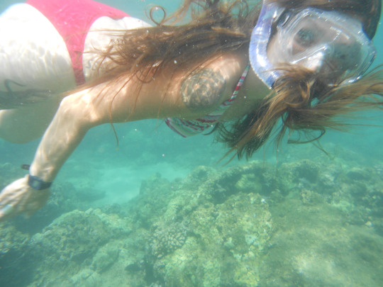 tumblr_ms53jwgM1c1rhrolgo4_540