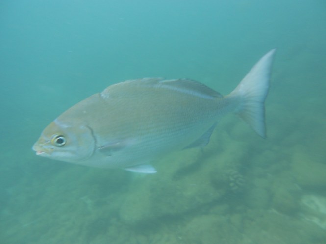 tumblr_ms53nlxlGD1rhrolgo2_1280