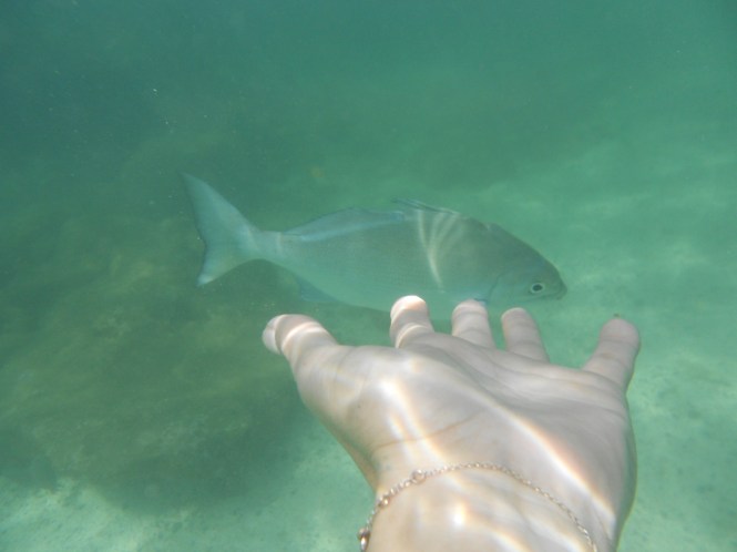 tumblr_ms53nlxlGD1rhrolgo8_1280