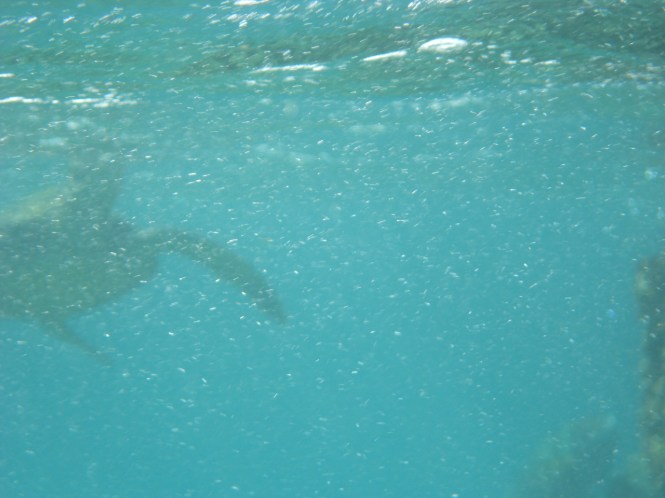 tumblr_ms53t0O2hy1rhrolgo9_1280