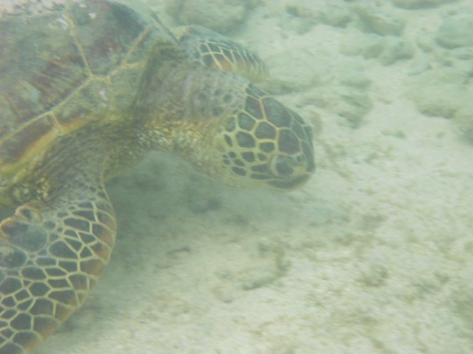 tumblr_ms577yufkm1rhrolgo1_1280