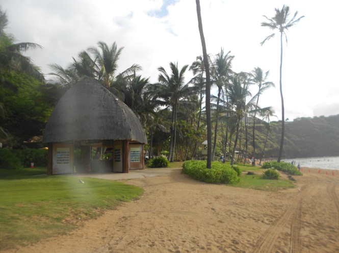 tumblr_ms577yufkm1rhrolgo3_1280