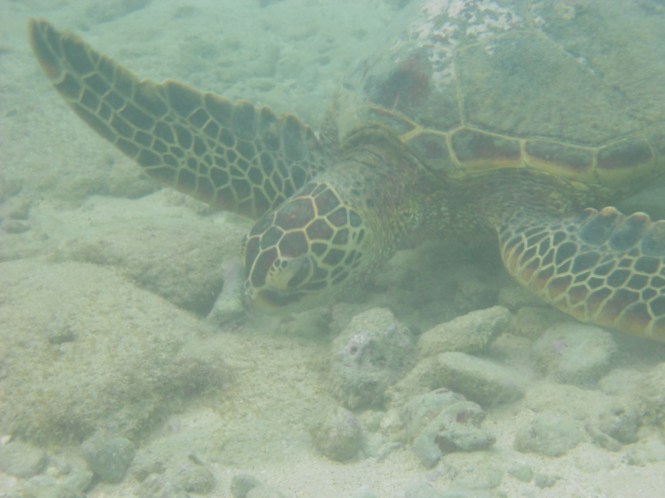 tumblr_ms577yufkm1rhrolgo4_1280