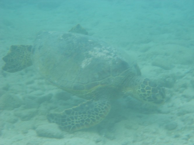 tumblr_ms577yufkm1rhrolgo5_1280