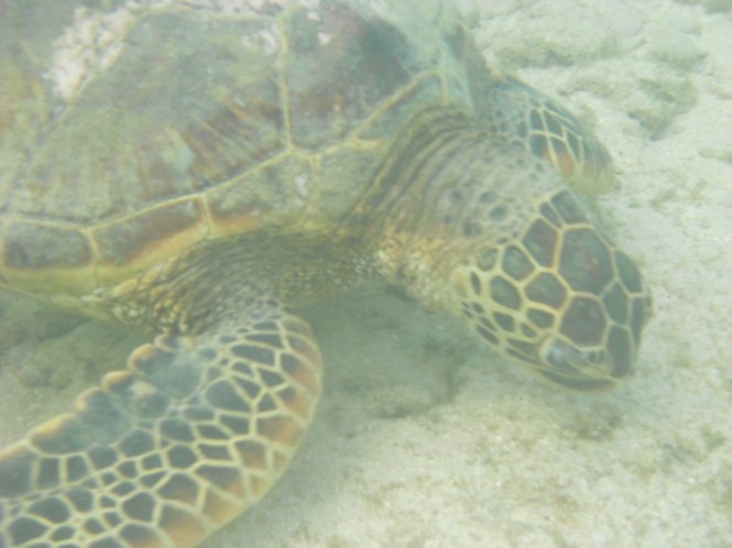 tumblr_ms577yufkm1rhrolgo6_1280