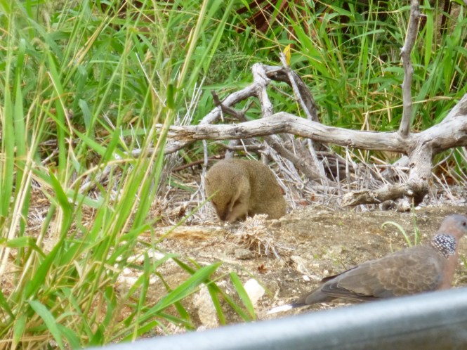 tumblr_ms577yufkm1rhrolgo8_1280